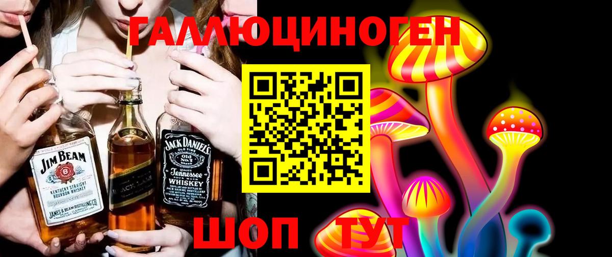 Абинск  Псилоцибиновые грибы MAGIC MUSHROOMS  Вход с VPN 